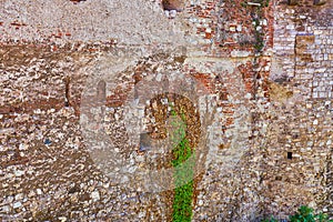 Old mysterious wall with clinging vines