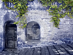 A Old Mysterious Wall with Grapes Plant in the Blue.