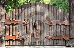 Old and mysterious wooden gate - entrance to the magic forest