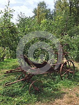 Old metal 4wheel mini-cart in a local jardinerie. Parc du Moulin,  France.