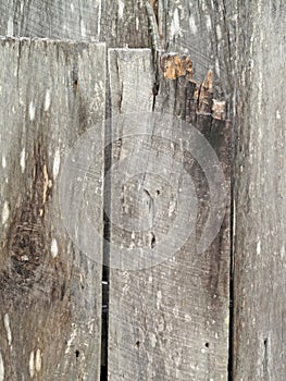 Old Nailed Wood Boards