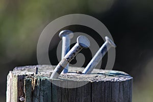 Old nails on wooden post