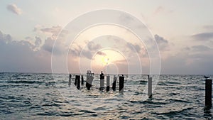 Old Naples, Florida, Sunset and pier in the Gulf of Mexico with a wooden pier and many perched birds, pelicans