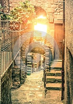 Old narrow alley in Giglio Castello - Antique italian lane in Gi