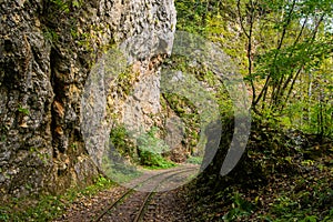 Old narrow gauge railway in mountain region