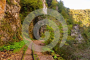 Old narrow gauge railway in mountain region