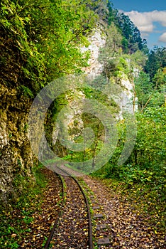 Old narrow gauge railway in mountain region