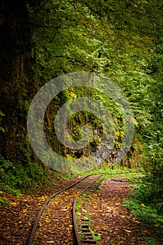 Old narrow gauge railway in mountain region