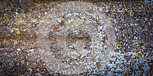 Old natural stone covered with black lichen and moss. Stone texture