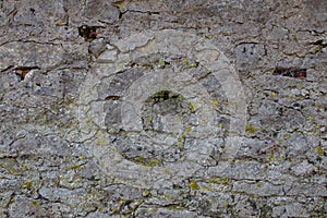 Old natural stone wall with plants and moss growing out of the cracks background