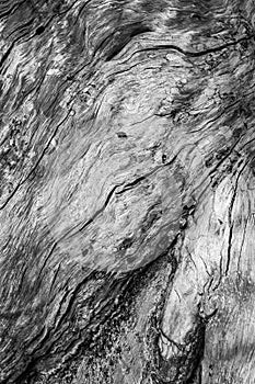 Old natural wood texture, background pattern of old wood