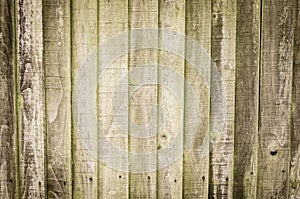 Old natural wooden shabby background close up