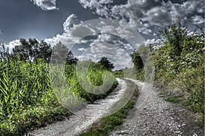 Old nature path