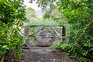 Old, neglected and broken wooden pedestrian bridge covered in wild grass