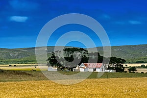 A old neglected farmhouse on the wheat fields of the Overberg region in South Africa.