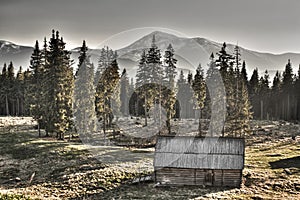 The old neglected house is in the high mountains