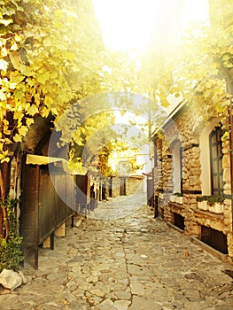 Old Nessebar, Bulgaria