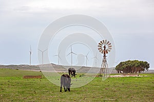 The Old And New In Harnessing Wind Power
