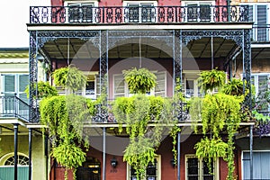 Old New Orleans houses in french