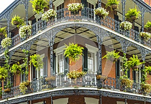 Old New Orleans houses in french Quarter