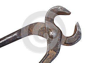 Old nippers on white background