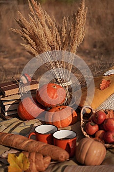 Old novels book, apples in a basket, a couple of cups on an autumn picnic, autumn still life, the concept of coziness in a rural