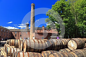 Old Oak Barrels at Annandale Whiskey Distillery, Dumfries and Galloway, Scotland, Great Britain