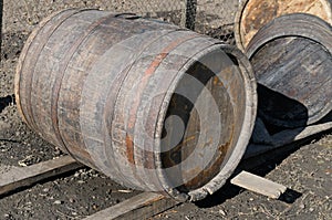 Old oak barrels