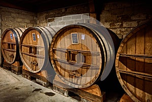 Old oak casks of calvados in a cellar photo