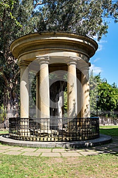 The old oak tree of Gernika - Guernica, Spain