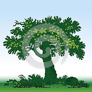 Old oak tree icon in green tones. Isolated