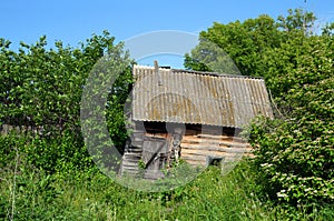 Old obsolete bath-house in lush foliage