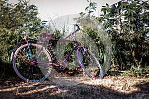 Old ontel bike in the yard
