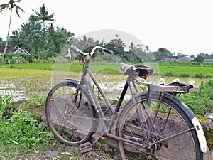 Old Onthel Bike