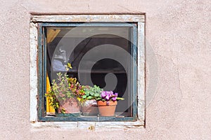 Old open window with flowers