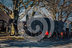 Old Order Amish buggies tied to post