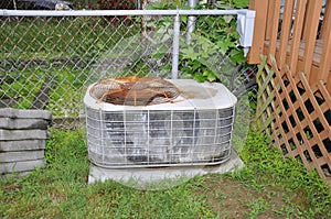 Old outdoor air conditioner