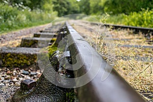 Old overgrown disused railway tracks.