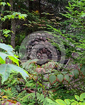 Old overgrown fireplace