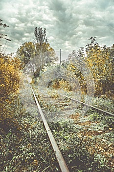 Old overgrown railway in autumn