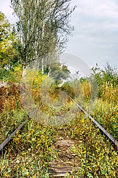 Old overgrown railway in autumn