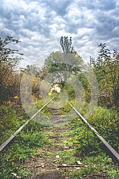 Old overgrown railway in autumn