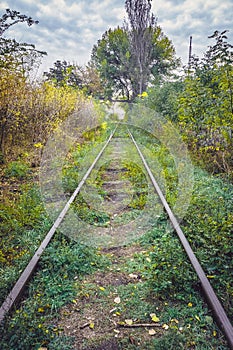 Old overgrown railway in autumn