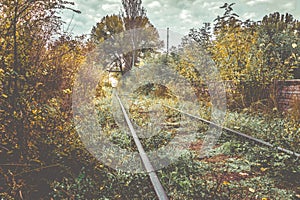 Old overgrown railway in autumn