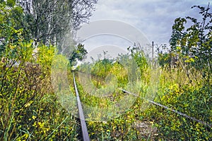 Old overgrown railway in autumn