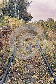 Old overgrown railway in autumn