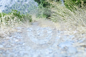 An old overgrown road in the mountains.