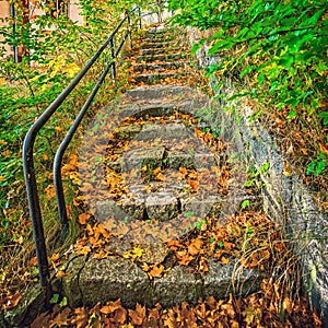 Old, overgrown vegetation, granite stairs