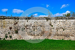 Old overgrown wall