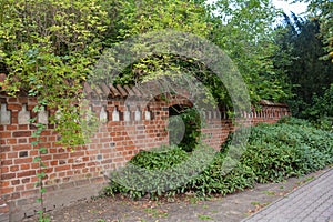 Old overgrown wall in the historic old town of Wismar